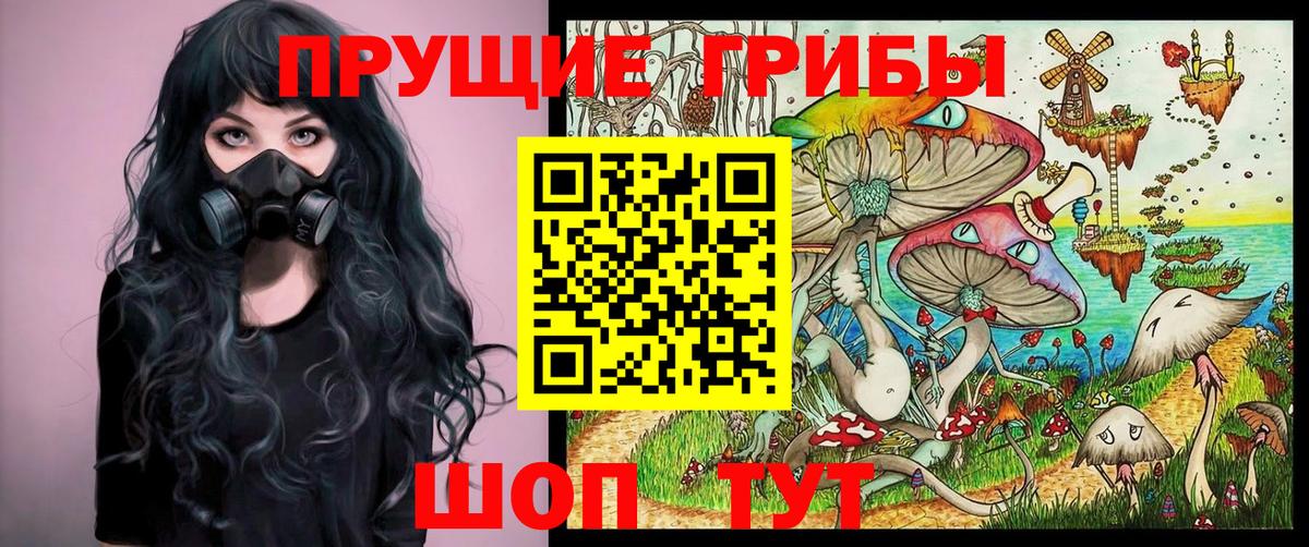 Псилоцибиновые грибы Psilocybine cubensis  Вход с VPN  Маркс  Псилоцибиновые грибы GOLDEN TEACHER 