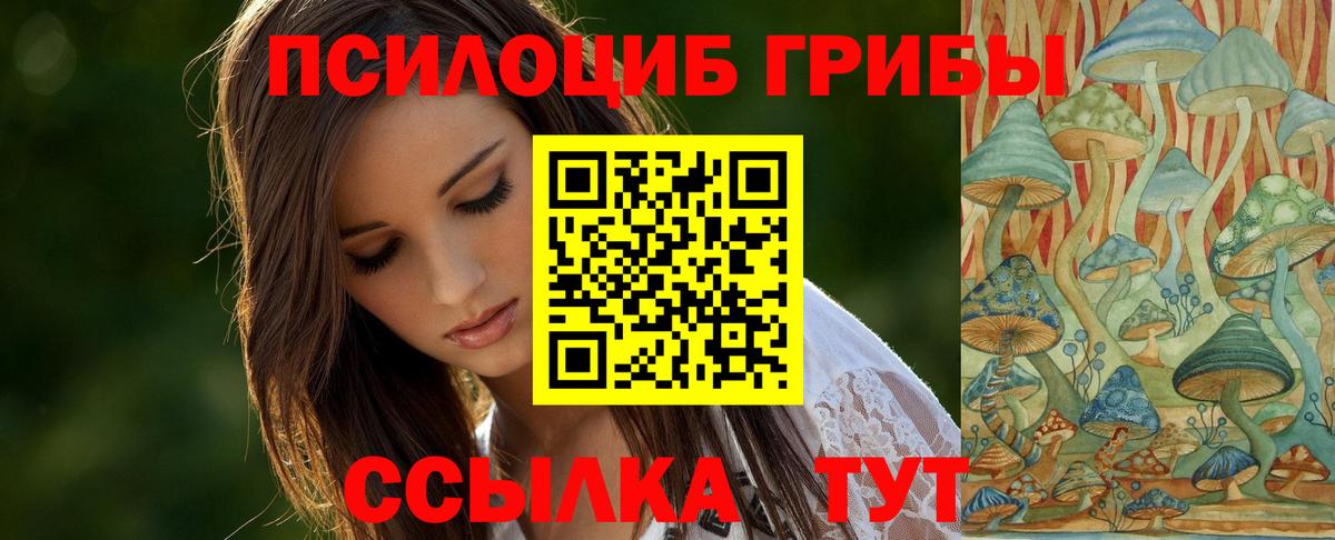 Галлюциногенные грибы Cubensis Маркс